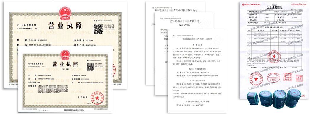 龙沙公司注册资料